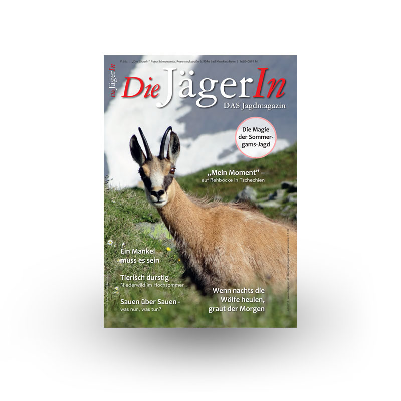 einzelheft